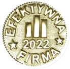 Efektywna Firma 2022